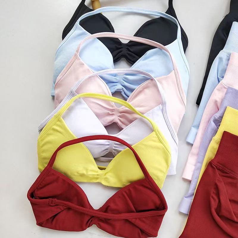 HISTELLO Sports Set  Piece Wom - Aquatic Sports Bra 评论和价格